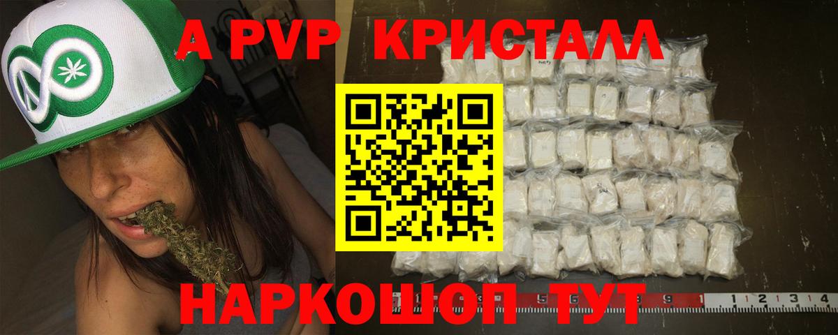 Alfa_PVP СК Протвино